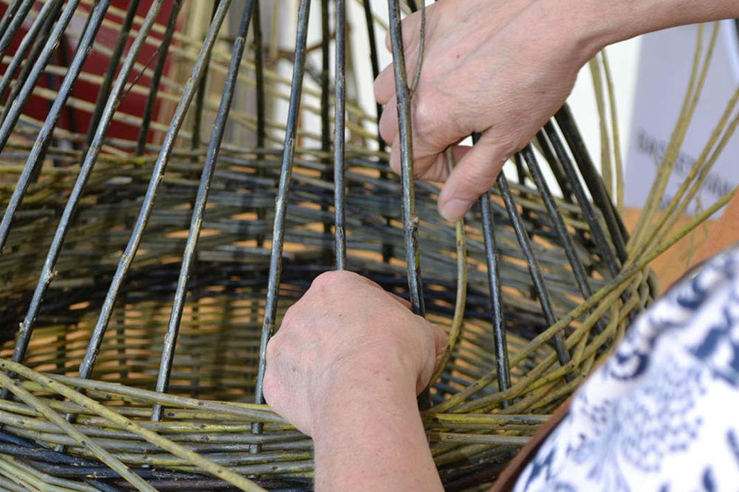Willow Weaving for Beginners The Crescent Belfast