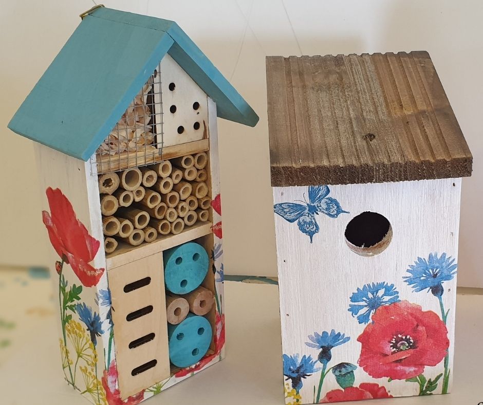 Bird Box Decorating for kids with Kelli Johnston