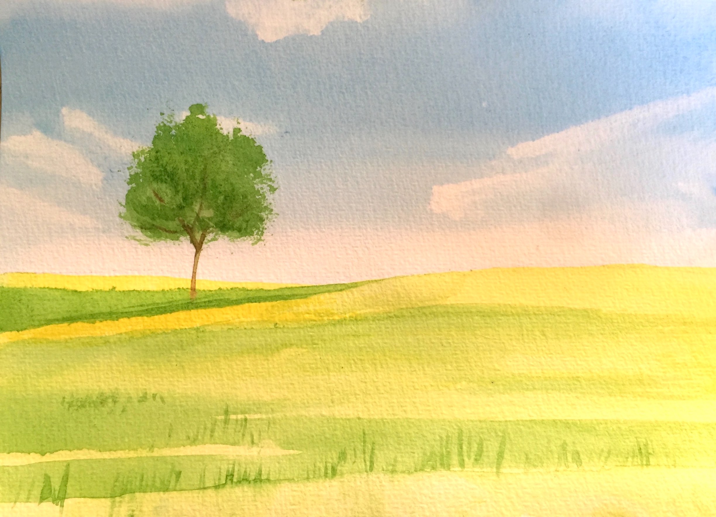 watercolour stepbystep beginners