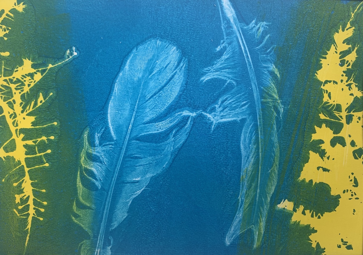 Gel Printing with Nature