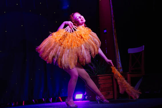 Burlesque: Feather Fans